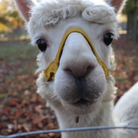 Robinson Romantikpfad 164